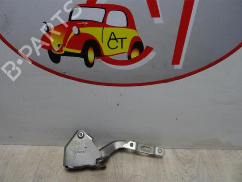 Hinge/Door check strap LANCIA MUSA (350_) 1.3 D Multijet (350.AXB11, 350.AXB1A) | BP13263778C146 