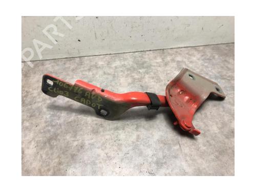 Hinge/Door check strap RENAULT CLIO III (BR0/1, CR0/1) 1.5 dCi | BP20618173C146 