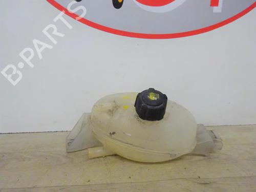 Used Expansion tank RENAULT MASTER III Van (FV) 2.3 dCi 100 FWD (FV0A, FV0B, FV0G, FV0K, FV0H) (101 hp) 13273884