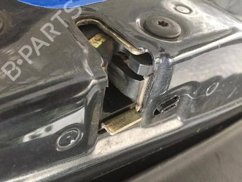 Right rear door RENAULT VEL SATIS (BJ0_) 2.2 dCi (BJ0E, BJ0F, BJ0G, BJ0H) | BP31203406C5 