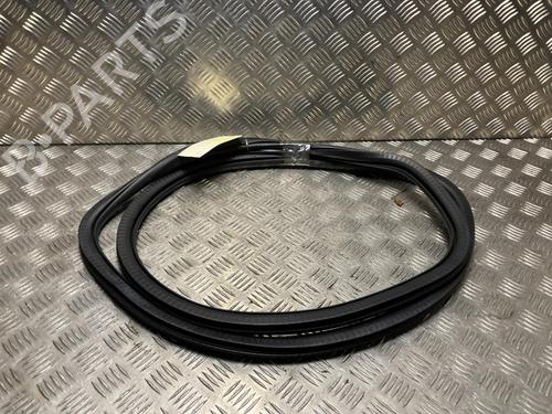 Gummiliste PEUGEOT 2008 II (UD_, US_, UY_, UJ_, UR_, UC_) 1.5 BlueHDI 100 (102 hp) 31927554