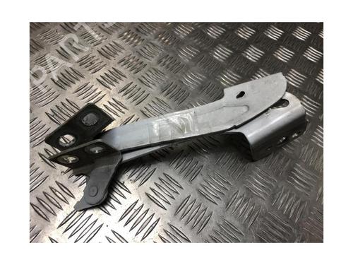 Hinge/Door check strap RENAULT KANGOO Express (FW0/1_) 1.5 dCi 85 (FW0K, FW0L, FW0B) | BP25376651C146 