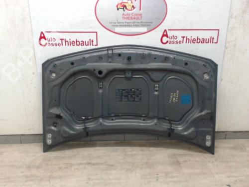 hood-renault-megane-ii-bm01_-cm01_-2001-2002-2003-2004-2005-2006-2007-2008-2009-2010-2011-2012-30781940 main image