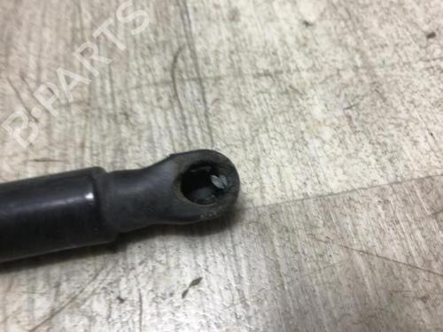 Tailgate lift support RENAULT CLIO V (B7_) 1.3 TCe 130 (B7MF) | BP20634023C138 
