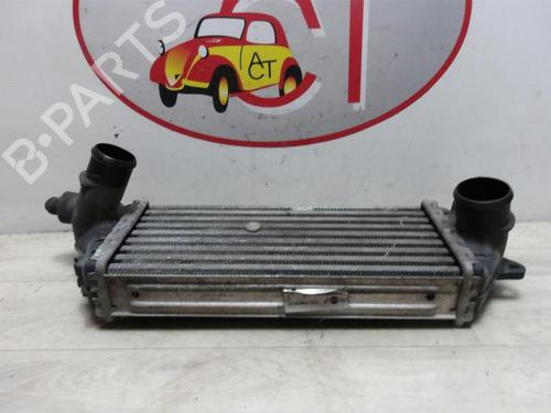 Intercooler MINI MINI (R50, R53) One D | BP13271071M30