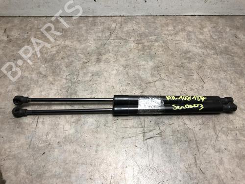 Used Tailgate lift support DACIA SANDERO III 1.0 SCe 65 (67 hp) 20634504