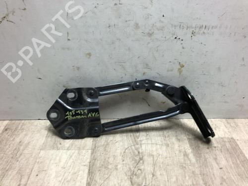 hingedoor-check-strap-vw-touran-1t1-1t2-2003-2004-2005-2006-2007-2008-2009-2010-2011-23871772 main image