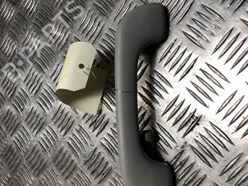 Innerer Dachhaltegriff für RENAULT SCÉNIC III (JZ0/1_) 1.2 TCe (116 hp) 31244727