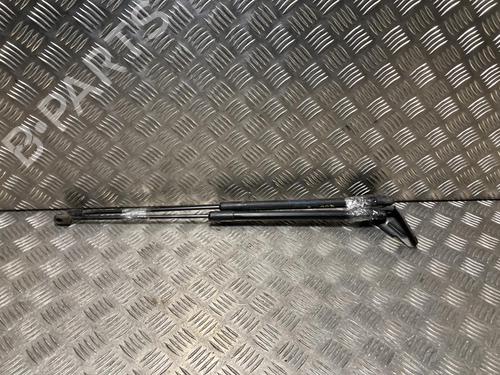 tailgate-lift-support-ford-focus-iii-2010-2011-2012-2013-2014-2015-2016-2017-2018-2019-2020-31651392 main image