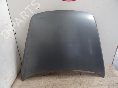 Panser VW TOUAREG (7LA, 7L6, 7L7) 3.0 V6 TDI | BP13293803C1 