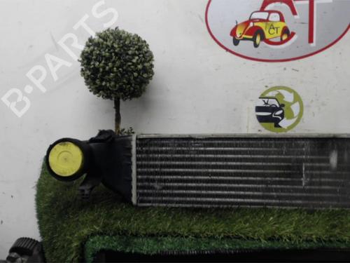 Intercooler MERCEDES-BENZ C-CLASS (W203) C 270 CDI (203.016) | BP13264130M30 