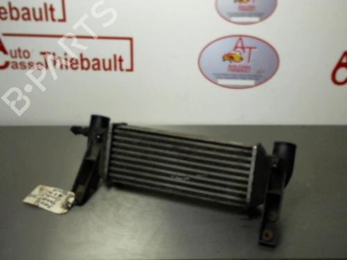 Used Intercooler FORD TRANSIT CONNECT (P65_, P70_, P80_) 1.8 TDCi (90 hp) 25121707