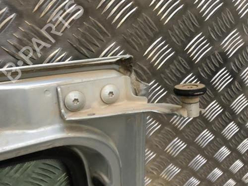 Left slide door RENAULT KANGOO (KC0/1_) 1.9 dCi 4x4 | BP30837317C74