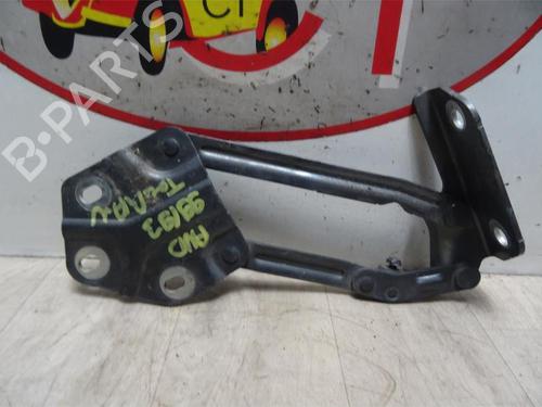 Hinge/Door check strap VW TOURAN (1T1, 1T2) 2.0 TDI 16V | BP13129769C146 