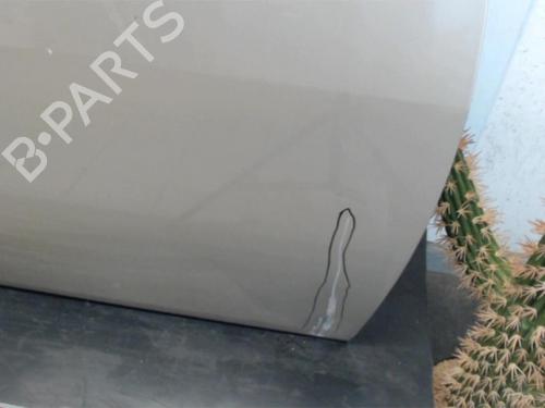 Right front door RENAULT MEGANE II Coupé-Cabriolet (EM0/1_) 1.9 dCi | BP13262437C3