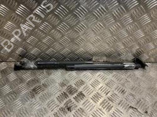 Ammortizzatore portellone posteriore RENAULT SCÉNIC III (JZ0/1_) 1.5 dCi (110 hp) 30755218