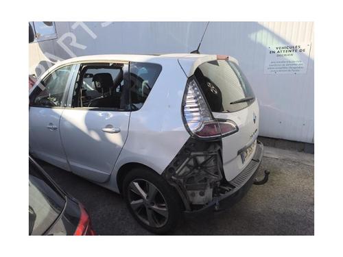 Switch RENAULT SCÉNIC III (JZ0/1_) 1.6 dCi (JZ00, JZ12) | BP21489346I30 