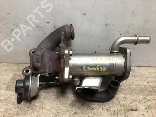 Egr RENAULT MEGANE III Hatchback (BZ0/1_, B3_) 1.5 dCi (BZ09, BZ0D, BZ1W, BZ29, BZ14) (110 hp) 31196206