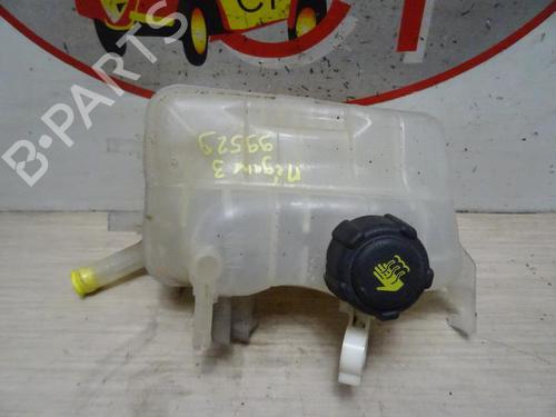 Used Expansion tank RENAULT MEGANE III Hatchback (BZ0/1_, B3_) 1.5 dCi (BZ09, BZ0D, BZ1W, BZ29, BZ14) (110 hp) 13274060