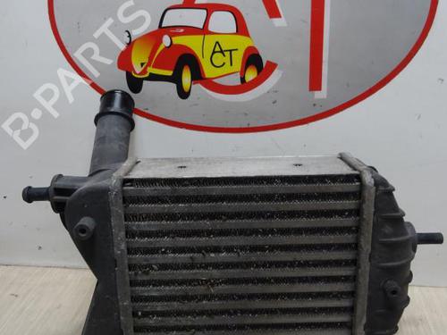 Used Intercooler LANCIA MUSA (350_) 1.3 D Multijet (350.AXB11, 350.AXB1A) (70 hp) 29038071