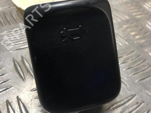 Poignée intérieure JAGUAR S-TYPE II (X200) 2.7 D (207 hp) 31197315