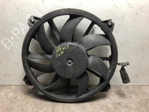 Used Heater blower motor CITROËN C4 II (NC_) 1.6 HDi 90 (92 hp) 20293036