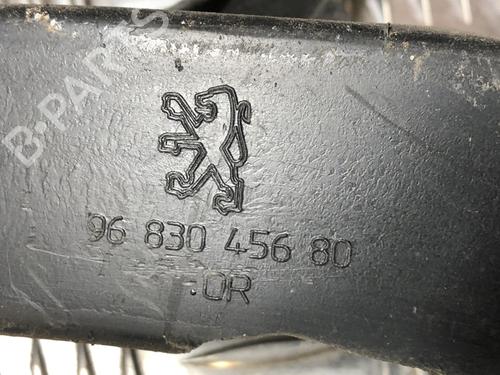 Rear bumper bracket PEUGEOT 3008 I MPV (0U_) 1.6 HDi | BP31198763C159