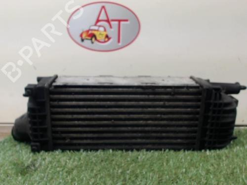 Intercooler CITROËN C5 III Break (RW_) 2.0 HDi | BP24962924M30
