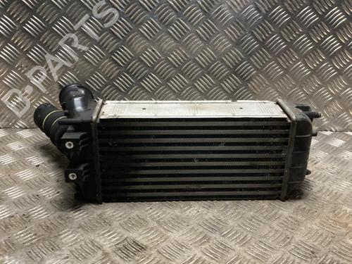 Used Intercooler Intercooler PEUGEOT 3008 I MPV (0U_) 1.6 HDi (114 hp) 40626455 40626455