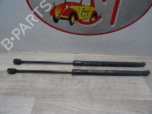 Tailgate lift support AUDI A2 (8Z0) 1.2 TDI | BP20624979C138 