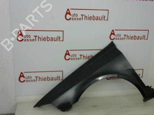 left-front-fenders-renault-laguna-ii-bg01_-2001-2002-2003-2004-2005-2006-2007-30780627 main image