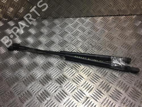 Amortiguador capot JAGUAR S-TYPE II (X200) 2.7 D (207 hp) 31197283