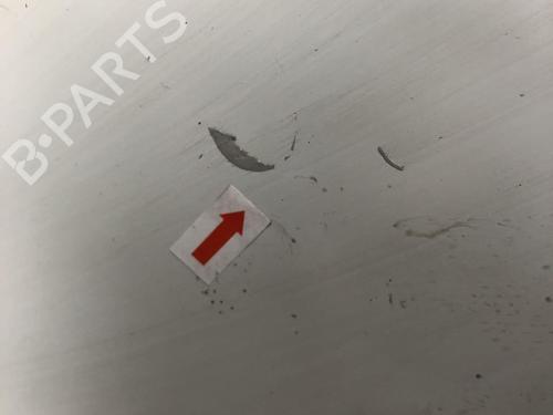 Hood RENAULT KANGOO Express (FC0/1_) 1.2 (FC01, FC0A, FC0F) | BP31244623C1 