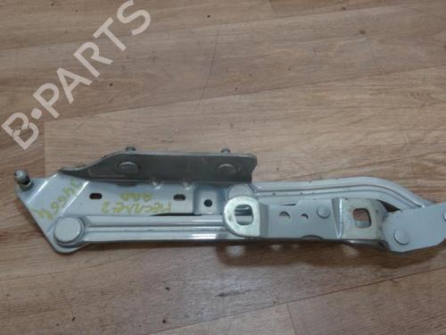 Used Hinge/Door check strap RENAULT MEGANE II (BM0/1_, CM0/1_) 1.9 dCi (90 hp) 13222523