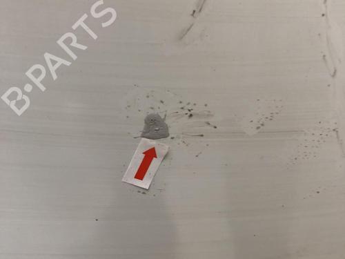 Hood RENAULT KANGOO Express (FC0/1_) 1.2 (FC01, FC0A, FC0F) | BP31244623C1 