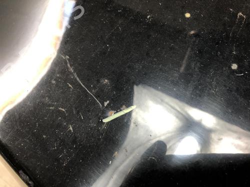 Tailgate ALFA ROMEO 159 (939_) 1.9 JTDM 8V (939AXE1B) | BP23871277C6 