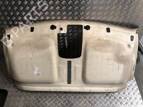 Interiør tag RENAULT MASTER III Van (FV) 2.3 dCi 110 FWD (FV0R, FV0W, FV1A) | BP36752003I12 - Image 2