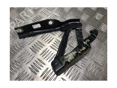 Hinge/Door check strap VW EOS (1F7, 1F8) 2.0 TDI | BP24314067C146 