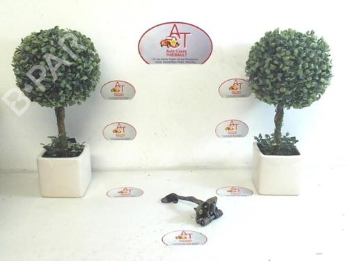 Used Hinge/Door check strap CITROËN XSARA PICASSO (N68) 1.6 HDi (109 hp) 13135181