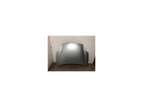 Used Hood FIAT BRAVO II (198_) 1.6 D Multijet (198AXH1B) (105 hp) 20612895