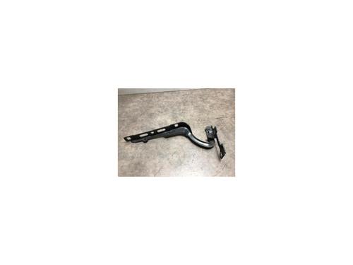 Hinge/Door check strap PEUGEOT 208 I (CA_, CC_) 1.6 BlueHDi 100 | BP20127356C146
