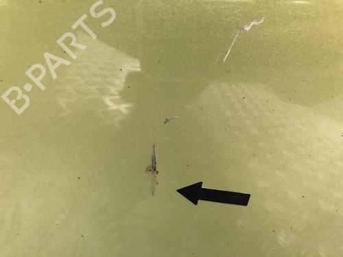 Left front door PEUGEOT 1007 (KM_) 1.4 HDi | BP24872933C2 