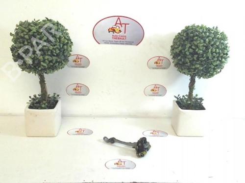 Used Hinge/Door check strap RENAULT CLIO II (BB_, CB_) 1.9 D (B/CB0E, BB0J) (64 hp) 13133103