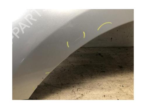 Left front fenders RENAULT SCÉNIC III (JZ0/1_) 1.5 dCi | BP20624039C41 