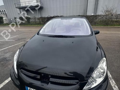 Licence plate light PEUGEOT 307 (3A/C) 1.6 16V | BP32122694I40 