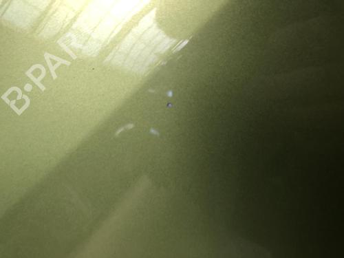 Left front door PEUGEOT 1007 (KM_) 1.4 HDi | BP24872933C2 