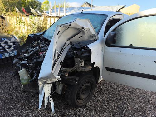 Nummerpladelys RENAULT KANGOO Express (FW0/1_) 1.5 dCi 70 (FW0A, KW0V) | BP31200476I40 - Image 7