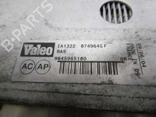Used Intercooler CITROËN XSARA PICASSO (N68) 1.6 HDi (109 hp) 13271040