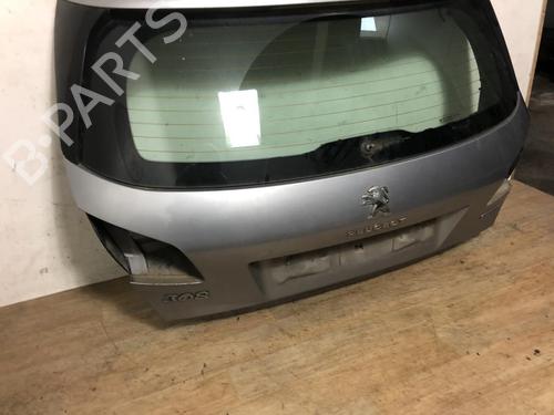 Used Tailgate Tailgate 20616504 20616504