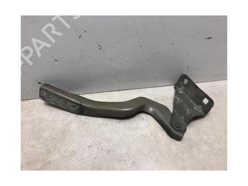 Hinge/Door check strap NISSAN QASHQAI I (J10, NJ10) 1.5 dCi | BP20614917C146